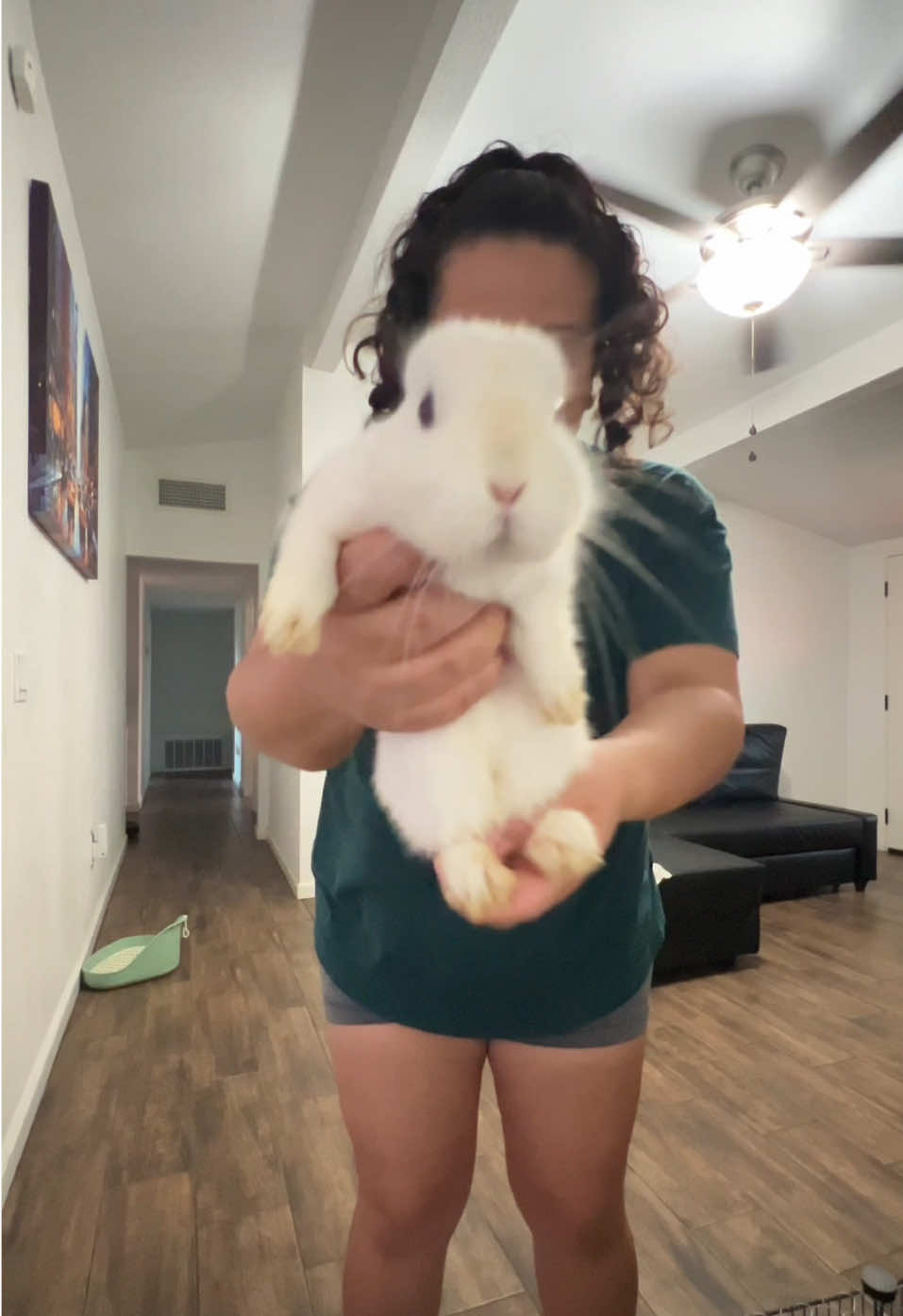 Cleaning a Rabbit on Sunday 🧼🐇#rabbitlife #rabbitsoftiktok #rabbit #cleaning #cutebunny 