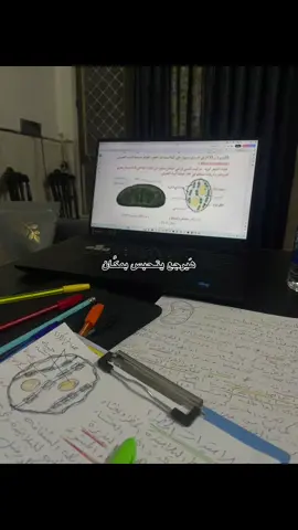 ناخذ السادس محتوى لان ليش لا 🙂‍↕️#سادس #fypシ #tiktok 