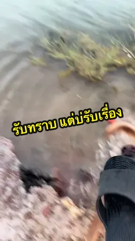 โยนเลย…..แต่ไปเก็บเองนะ