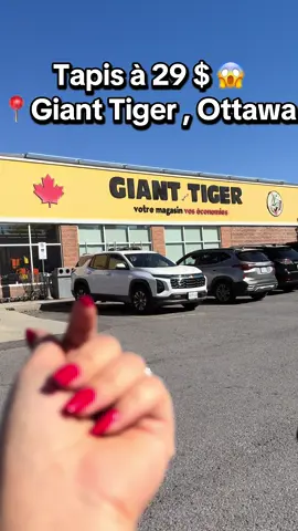 Pillowcases 1$ اتمنة جد منخفضة ❤️😱 @GiantTigerStore  #canada_life🇨🇦 #gianttiger #ottawa #deals #dealsforyoudays  Follow for more deals ! 🇲🇦🇨🇦🇩🇿🇹🇳🇦🇪🇸🇦🇱🇧🇸🇾🇸🇳🇨🇮🇶🇦🇪🇺