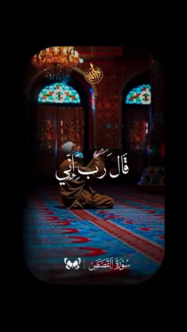 يا رب ♥️♥️♥️ . #قرأن #قران #quran #محمود_الشحات #الشيخ_محمود_الشحات_انور 