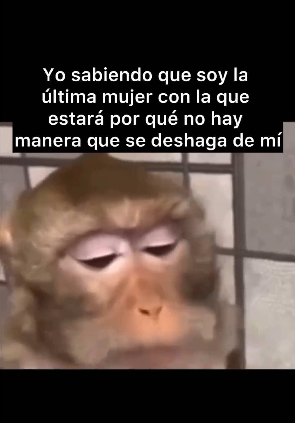 Síganme 💋 #parati #viral #humor #fypシ #lol 