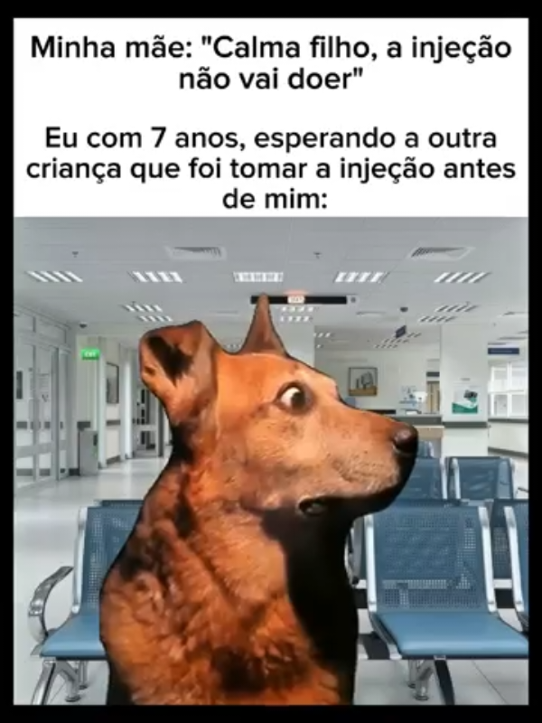 medo.