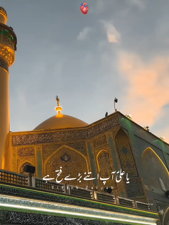 🥹❤️🕊️🔥 #Rabiulawal #shiastatus  #yaali #unfreezmyaccount  #Rabiulawal 