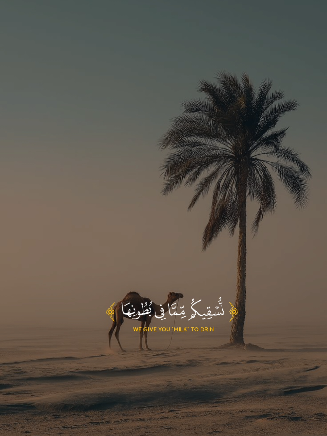 #ياسر_الدوسري 