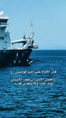 افضل ما قاله الامام علي (ع) اذا كنت تريد المزيد ضع متابعه✨ #tiktok #instagram #ياعلي #ياعلي_مولا_عَلَيہِ_السّلام #عبارات 