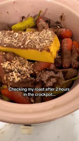 Guess we’ll be eating at 9pm #fail #crockpotrecipes #momlife #fyp 