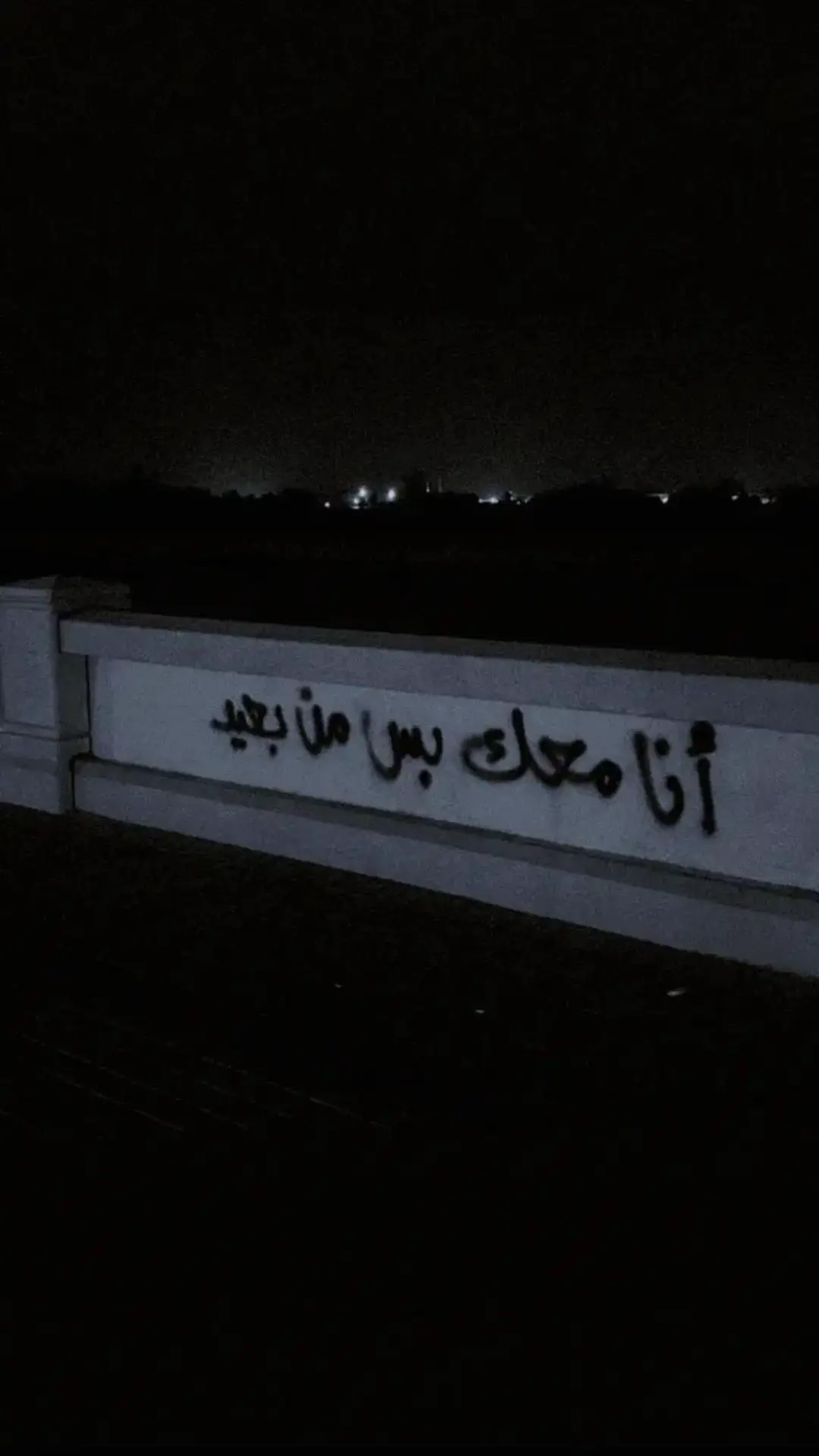 #انامعك بس من بعيد #foryoupage❤️❤️ #yourbestshot #الشعب #الشعب_الصيني_ماله_حل😂😂🏃🏻‍♀️ 