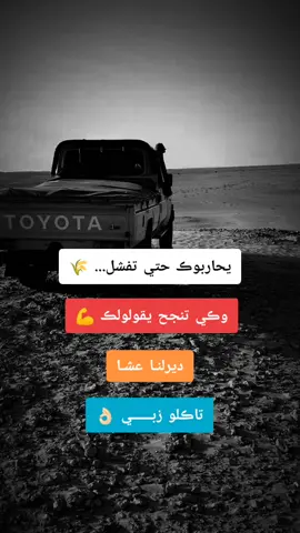 #تجور_سطايفي_19🦅✨ #نحبكم_كامل_هنا_لخاوة_❤️🙏🏻💚 #الجزائر_تونس_المغرب_الاماراات_مصر 