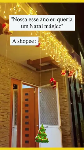 Cascata 400 Led's Decoração Natal Festas até 10m Fixo ou 8 Funções 110v/220v