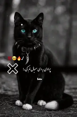 #CapCut Hu sir 🤚🖤 #تمپلیت_جدید خپــله به دې مال ته غـــال وې💯🥺#تمپلیت_جدید #رپ_پشتو رپ_فارسی اهنګ_پشتو اهنک_افغانی  اهنک_ایران_غمگین_غاشقان creatorsearchinsights #oo__3salar_afg 