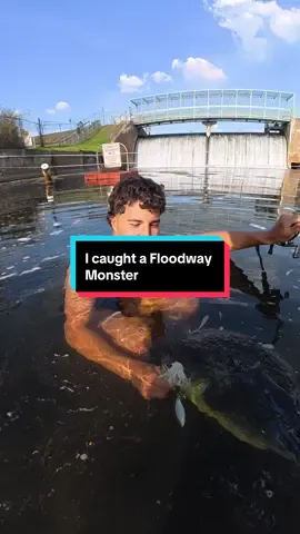 I Caught a Floodway Monster #fishing #fishingvideos 