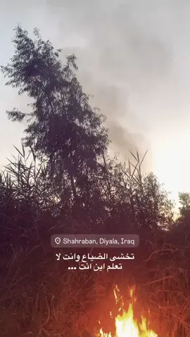 #fyp #foryou #موسيقى 