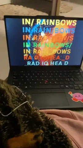 how to make your dog fall asleep #dachshundpuppy #radiohead #music #blowup #fy 