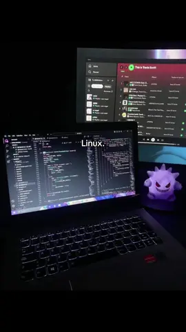 I love Linux 🐧. Whats your fav distro?#linux #arch #it #programmer #softwareengineering 