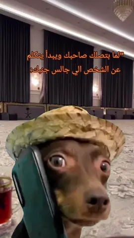#Meme #MemeCut #CapCut 