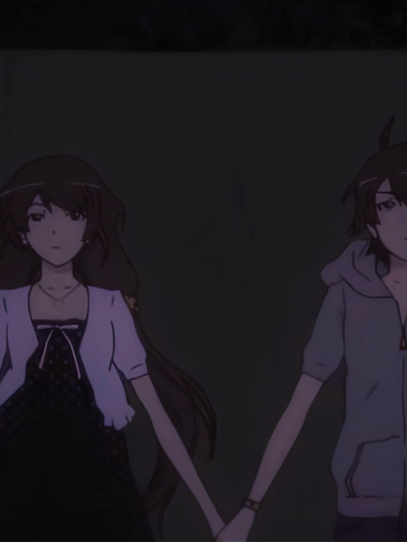 Best couple in fiction || Sdt @cora.tard @xczmlk @koraish.aep #monogatari #monogatariseries #araragi #araragikoyomi #senjougahara @.vekoo @ian @Aiko 