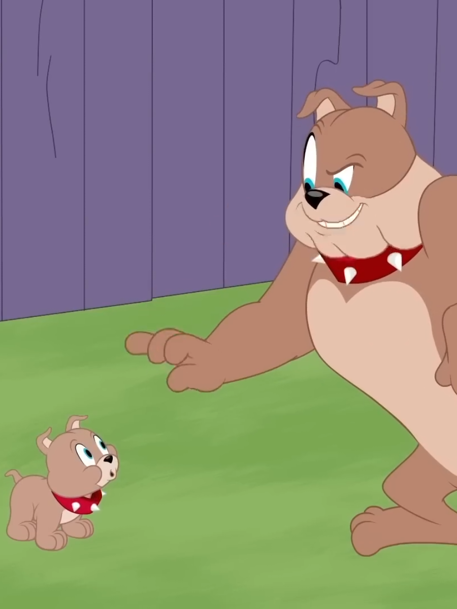🍿 Tom & Jerry 🐭😺| Twin Tails of Chaos!😍| Cat and The Mouse | Kids Cartoon ✨| #tomandjerry #jerryandtom #cartoon #tomandjerry🤣 