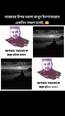 আল্লাহর উপর ভরসা রাখুন ইনশাআল্লাহ একদিন সফল হবেই, 🤲