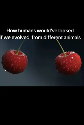 How humans would've looked if we evolved from different animals #evolution #memestiktok #fyp #animal #xyzabc 