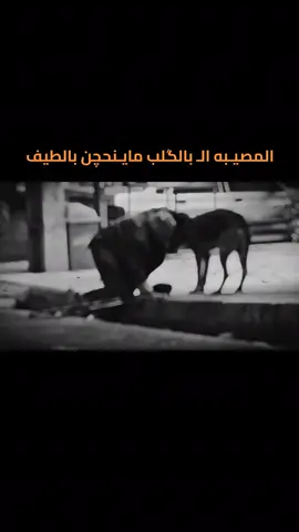 #بدون_هشتاق 