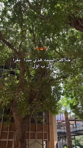 كذبت كل سنه 🤣 #اكسبلورexplore #عشوائيات 
