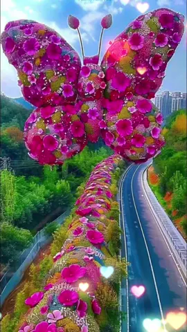 #صباحوووو_عسل #صباحكم_أحلى_صباح #لمن_تهدي_هذه_العباره#الشعب_الصيني_ماله_حل #تصاميم_القيسي 