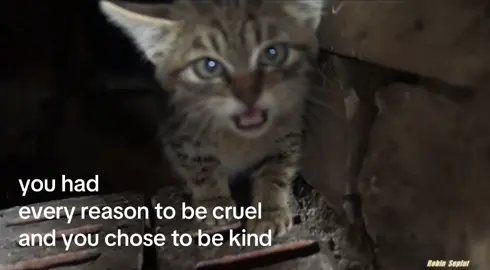 you chose kindness when cruelty was easier #longing #kindness #guilt #robinseplut #godsquietchild 