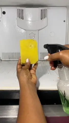 clean your refrigerator easily #clean 