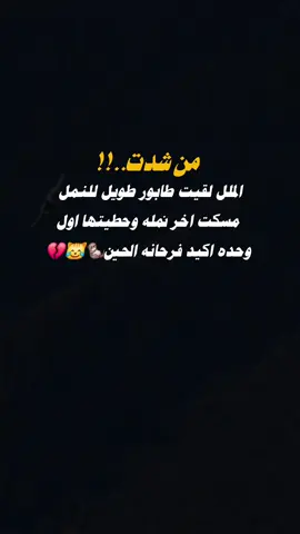 #صنعاء_تعز_عدن_اب_ذمار_حجة_حضرمو #ضحك #اشعب_اصيني_مال_حال😹💔 #عبارات #اكسبلور 