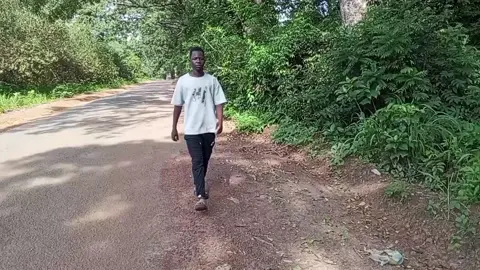 Creator 