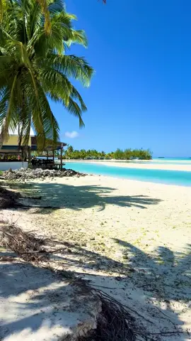 Island vibes 🥭🍹🥥🐐🏔️🐬🌈⛵️🐳🌺🏝️🐋 #cookislands #whalesoftiktok #traveltiktok #aitutaki #utazás 