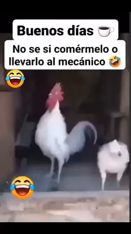 ya se quedó trabado 🤣🤣🤣🤣