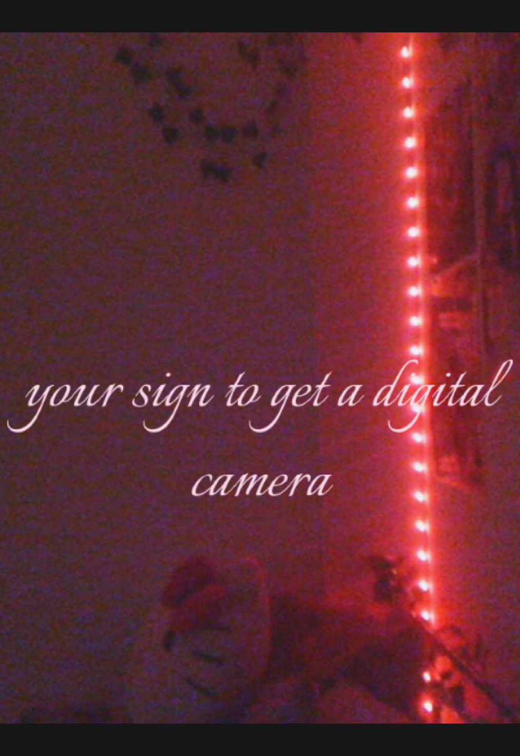 i love the bad quality #digitalcamera #digicam #2000s #fyp #autumn