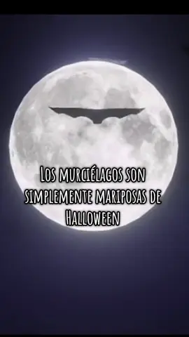 #viral #Parati #fyp #🎃 #contenido #halloween #datoparanormal👻 #Otoño #octubre #murcielago 