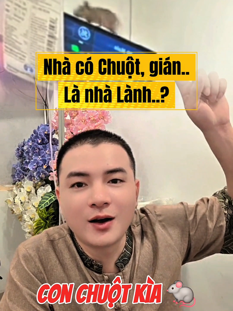 Người ta bảo: tâm lành thì nhà cũng lành, nên mới có chim, có chuột, có muỗi tìm đến… Các bạn nghĩ sao về điều này?🤔 Dr Đoàn Tuấn - Người Ươm Mầm@Sầm Huệ Minh - Sontung Auto 🌱  bằng Khoa Học – Huyền Học – TráiTim ❤️  #bsdoantuan #pkmevabe #hiemmuon #ivf #iui 