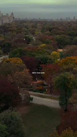Fall evenings in Central Park are so cozy and peaceful 🥺🍂🤎 So ready for fall in the city soon 🫶🏼 #nycfall #autumninnewyork #centralpark #fallfoliage 