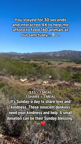 It's Sunday-a day to share love and kindness. These innocent donkeys need your kindness and help. A small donation can be their Sunday blessing….🙏❤️🫏#donkey #donkeyrescue #sanctuary #DonkeyLove #DonkeySanctuary 