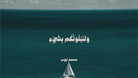 #محمد_ايوب #fyp #foryou #قران_كريم #اكسبلور 