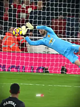 The Art of saves⚽️🧱||Song: Sarra ra ra  #edit #goleiro #phonk #goalkeepers #gk 