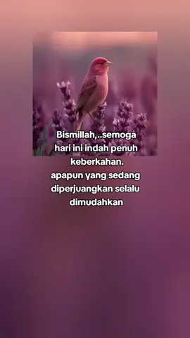 #assalamualaikum🙏 #fypシ゚ #fypviralシ #katakata 
