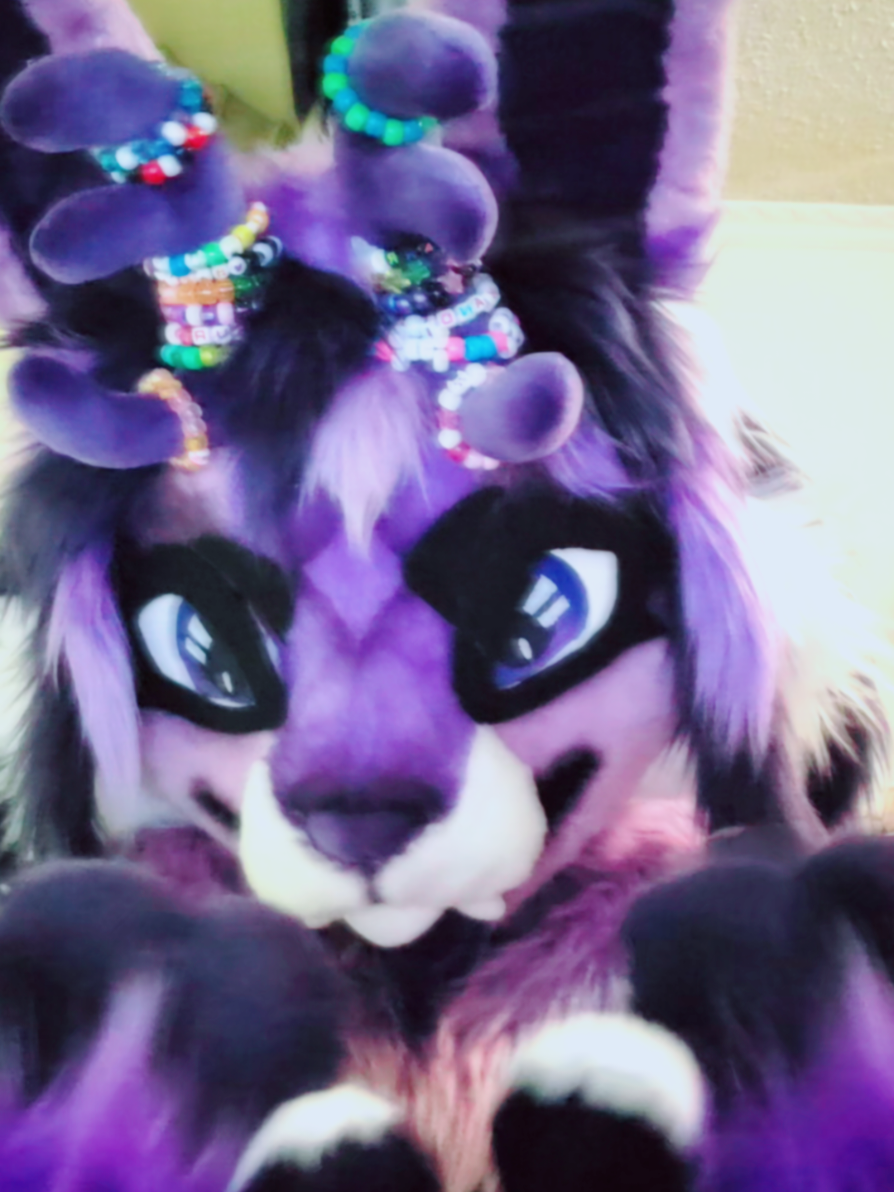 idk how to do captions i just wanted 2 post in my suit >_< 🪡: graffitihound ! the @ isnt working but itll be in my bio! #furry #fursuit #fursuiter #jackalope #fursona 