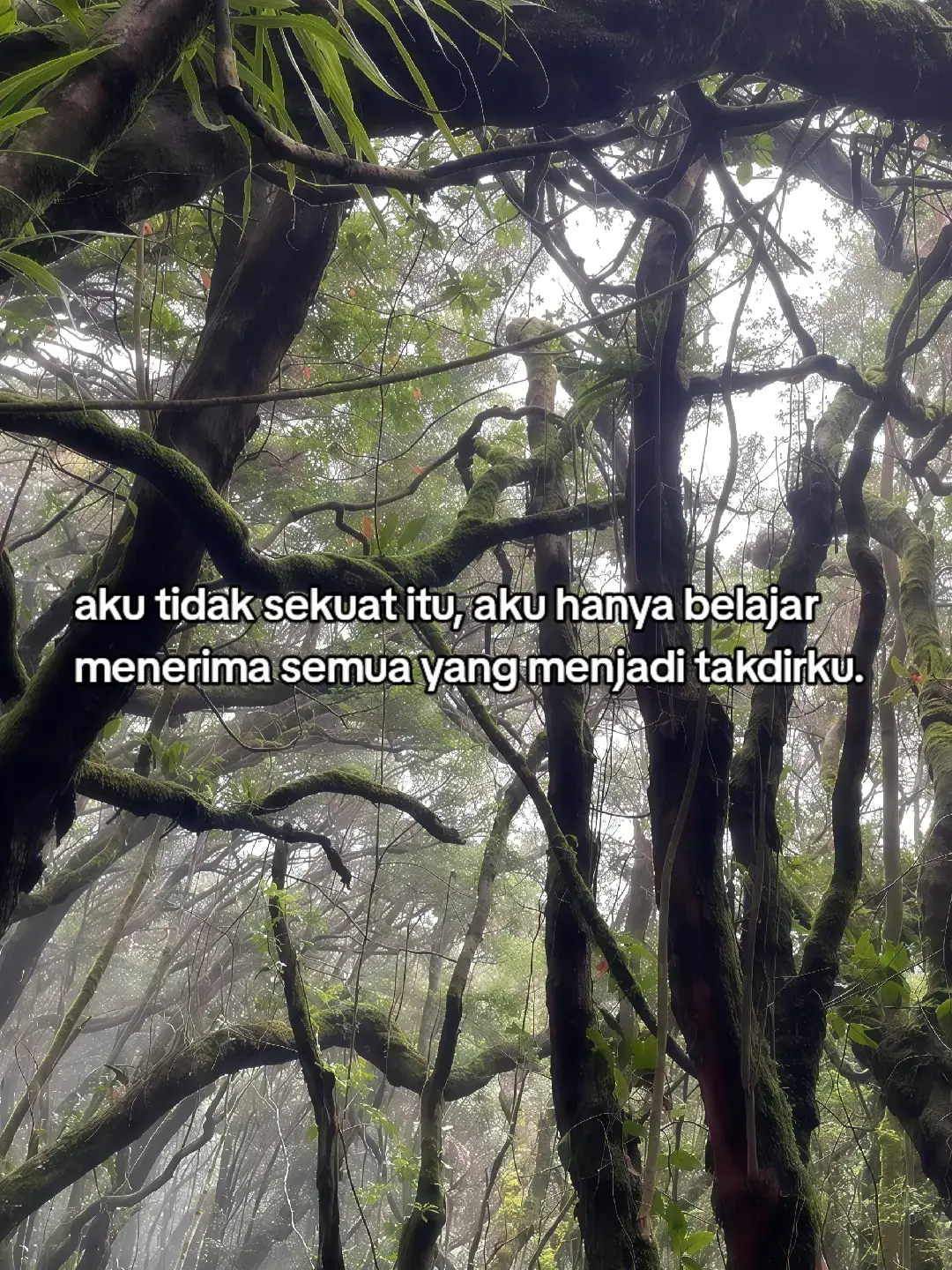 ... 📝Bahan-bahan: - 250 gram samcan (usus babi atau sapi yang sudah dibersihkan dan dipotong-potong) - 1/2 cangkir tepung terigu - 1/2 cangkir tepung maizena - 1/2 sendok teh garam - 1/4 sendok teh merica bubuk - 1/4 sendok teh penyedap rasa (opsional) - 1 butir telur - Minyak goreng secukupnya Cara membuat: 1. Menyiapkan samcan: Rebus samcan hingga empuk, tiriskan dan potong-potong sesuai selera. 2. Membuat adonan: Campur tepung terigu, tepung maizena, garam, merica bubuk, dan penyedap rasa. 3. Menggoreng: Celupkan samcan ke dalam telur, lalu baluri dengan adonan tepung. Goreng dalam minyak panas hingga berwarna keemasan dan crispy. 4. Menyajikan: Angkat samcan goreng crispy dari minyak, tiriskan, dan sajikan segera. Tips: - Pastikan minyak goreng panas sebelum menggoreng samcan untuk hasil yang crispy. - Anda dapat menyesuaikan bumbu dan adonan tepung sesuai selera. - Samcan goreng crispy dapat disajikan sebagai camilan atau hidangan utama yang lezat. Selamat mencoba!! #fyppppp #foryoupage #masukberandafyp 