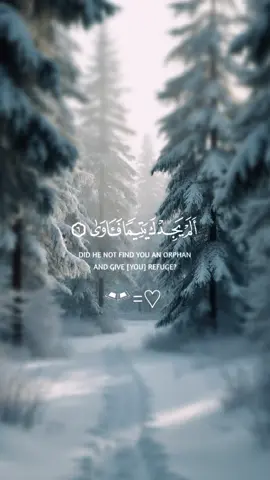 Peaceful recitation ❤️ #quranrecitation #quran #quran_alkarim 