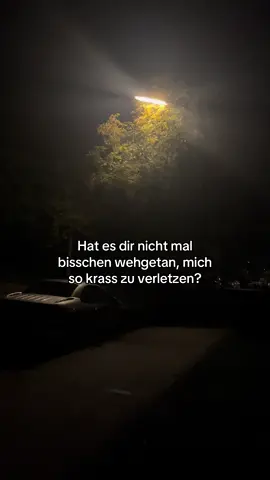 #fy #fyp #viral #verletzt #liebe 