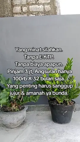#modal #usaha #cepat #trending #fyp 