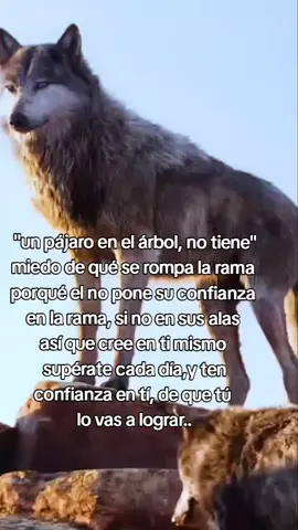 #frases #viralvid #foryoupae #viralvideo #pppppp0ppppppppppppppppppppppppppppp 