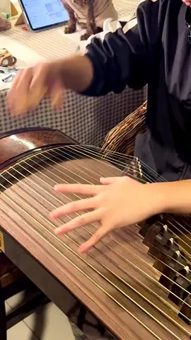 bá hổ thuyết guzheng  #guzhengmini #douyin抖音 #tiktok #guzheng #douyin 
