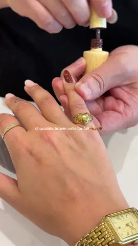 perfection 💅🏼 #fallnails #nailinspo #nailvlog #pinterestnails #brownnails 
