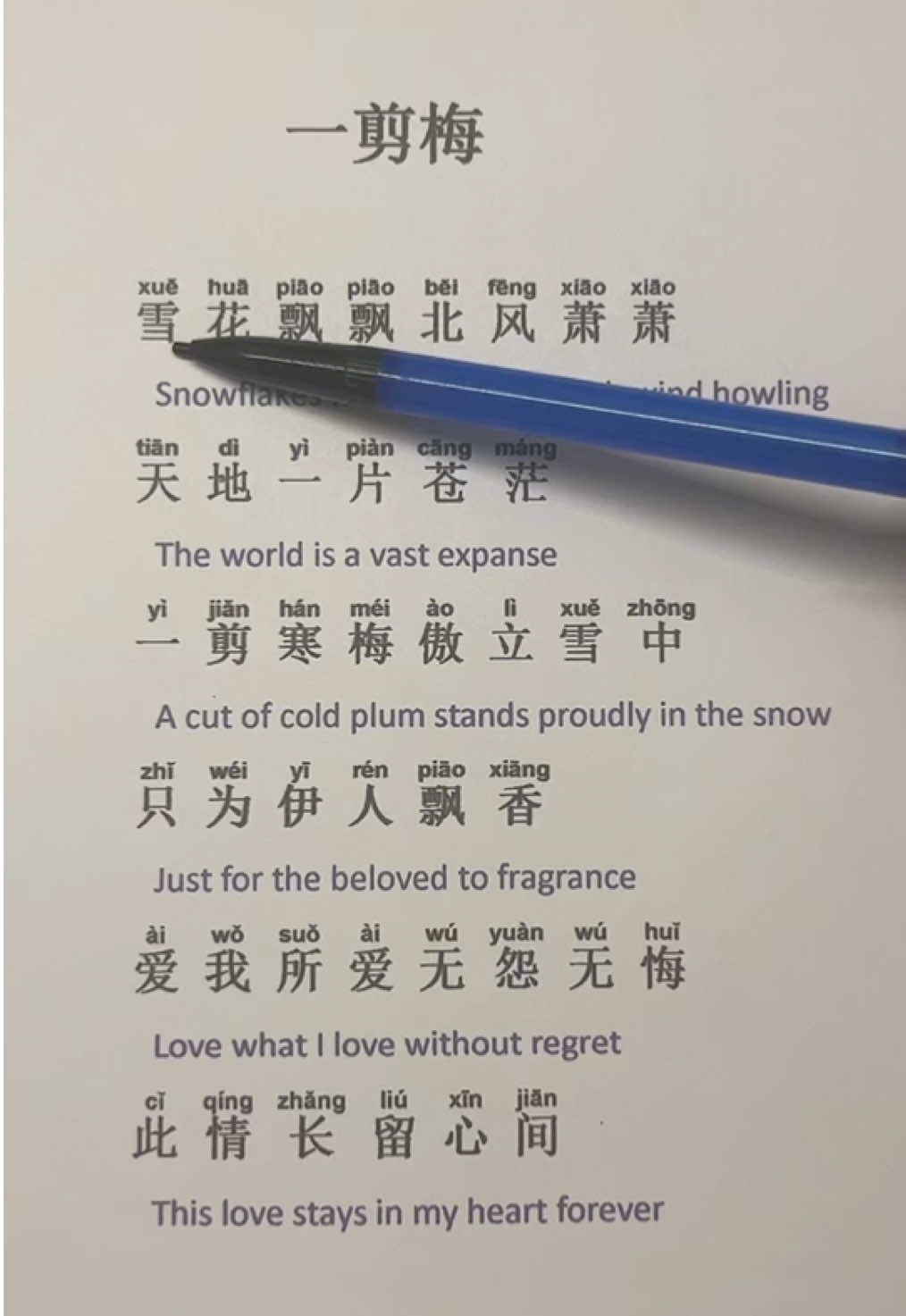 Chinese song:yi Jian mei by fei qu Qing #Chineseculture #Mandarin #trending #chinese #music Follow for more